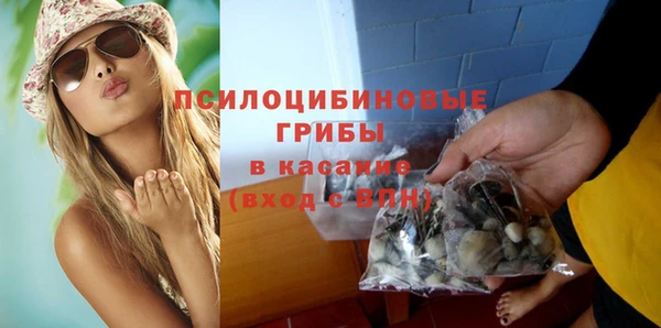 гашик Осинники