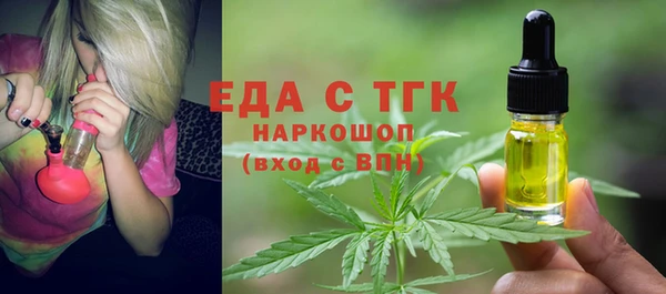 гашик Осинники