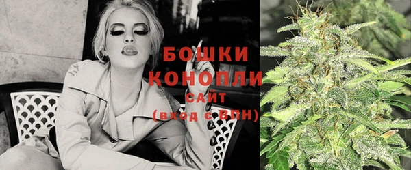 мдпв Осташков