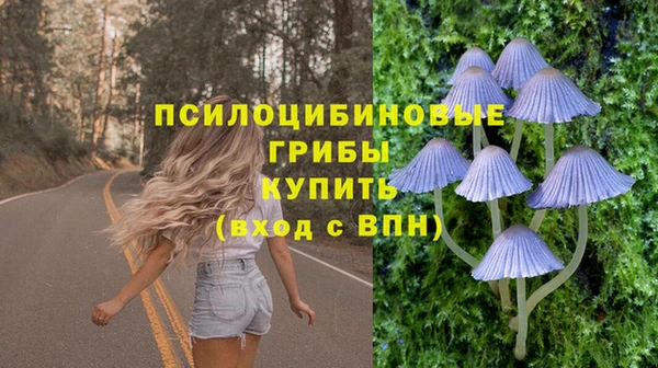 PSILOCYBIN Удомля