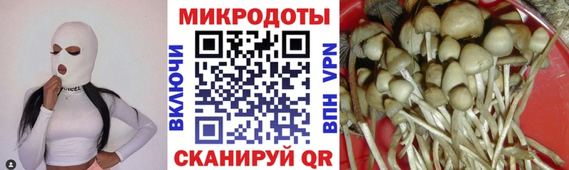 наркота Тимашёвск MEGA зеркало Галлюциногенные грибы Cubensis